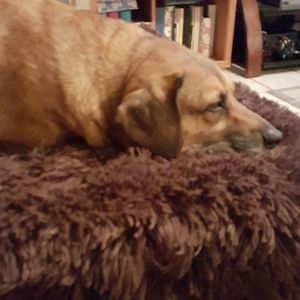 Meet your Posher, Faith